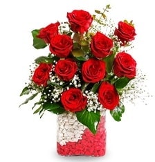 11 adet k�rm�z� g�l vazosu Ankara cicek cicekci